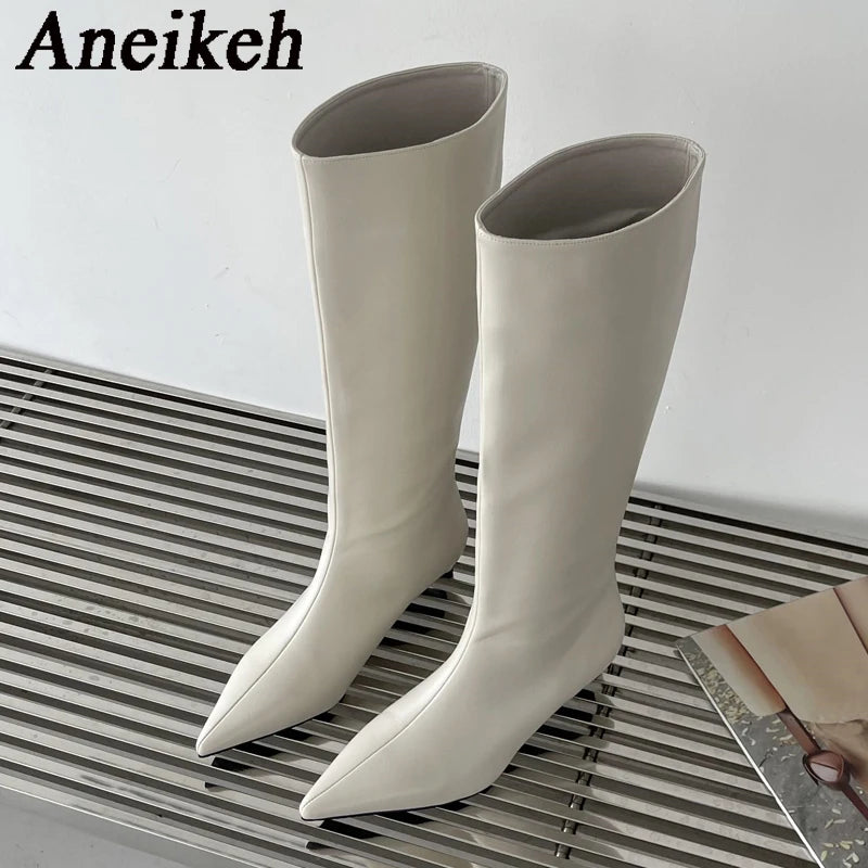 Aneikeh 2024 Fashion Sexy Pointed Low Heels Knee Long Boots Women's Spring/Autumn PU Sewing Party Ball Western Boots 35-40