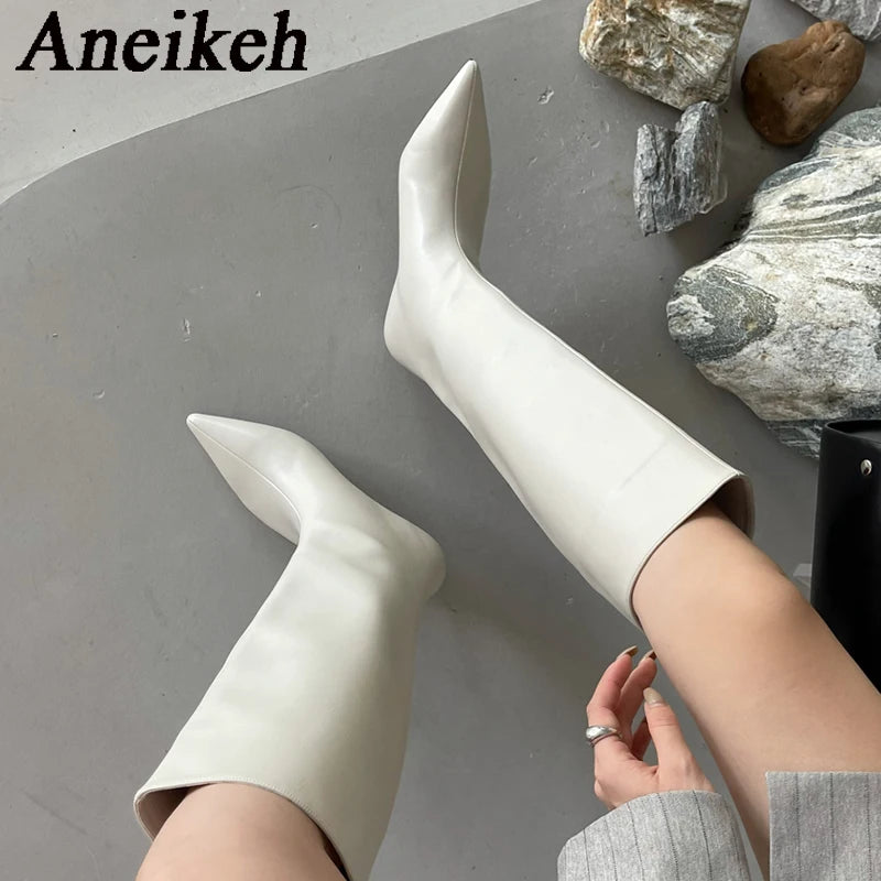 Aneikeh 2024 Fashion Sexy Pointed Low Heels Knee Long Boots Women's Spring/Autumn PU Sewing Party Ball Western Boots 35-40