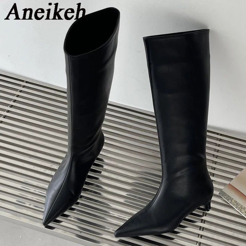 Aneikeh 2024 Fashion Sexy Pointed Low Heels Knee Long Boots Women's Spring/Autumn PU Sewing Party Ball Western Boots 35-40