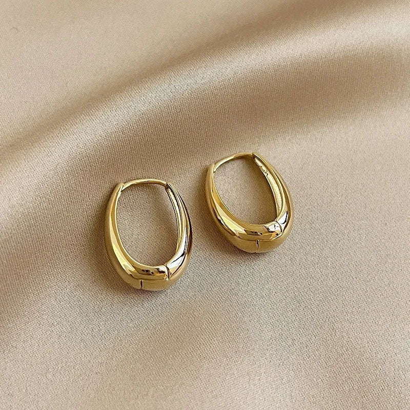 Trendy Stainless Steel Metal Earrings Geometric for Womens Fashionable Jewellery Accessories Delicate Earrings For Party