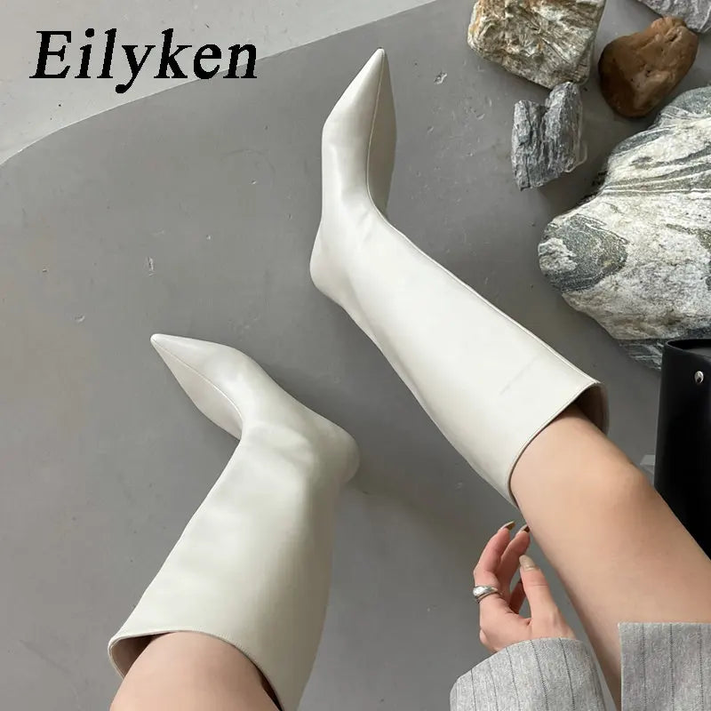 Eilyken Autumn Winter Cosy Pointed Toe Woman Knee-High Boots Slip-On Low Thin Heels Cowboy Ladies Shoes Botas De Mujer