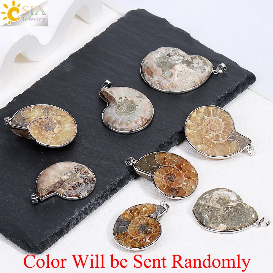 Vintage Natural Stones Pendants for Women Ammonite Seashell Snail  Sea Ocean Conch Animal Necklace  Men Summer Jewellery E252