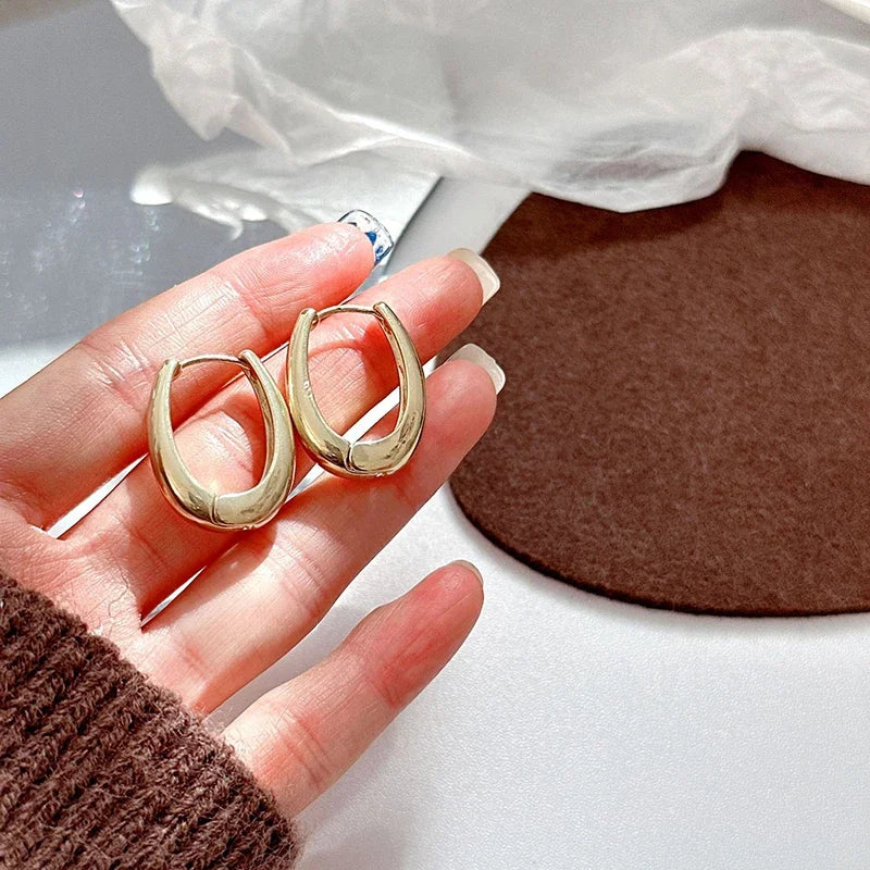 Trendy Stainless Steel Metal Earrings Geometric for Womens Fashionable Jewellery Accessories Delicate Earrings For Party