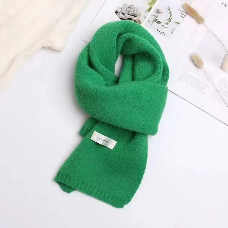 Fashion Cashmere Scarf Women Winter Shawls And Wraps Hijab Blanket Ladies Thick Neckerchief Bufanda Pashmina Long Echarpe